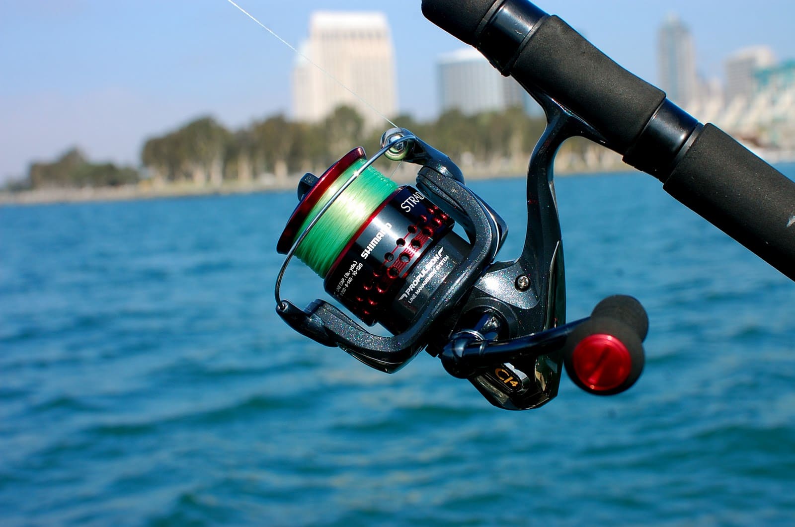 10 Best Saltwater Spinning Reels Reviewed In Detail (Fall 2023)