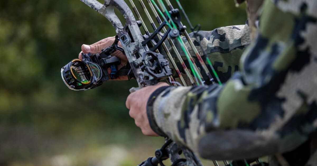 10 Best Bow Sights for Effortless Aiming and Precise Shots (Spring 2023)