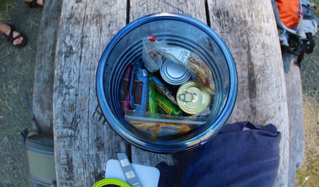 5 Best Bear Canisters to Keep You and Your Food Away from Attacks