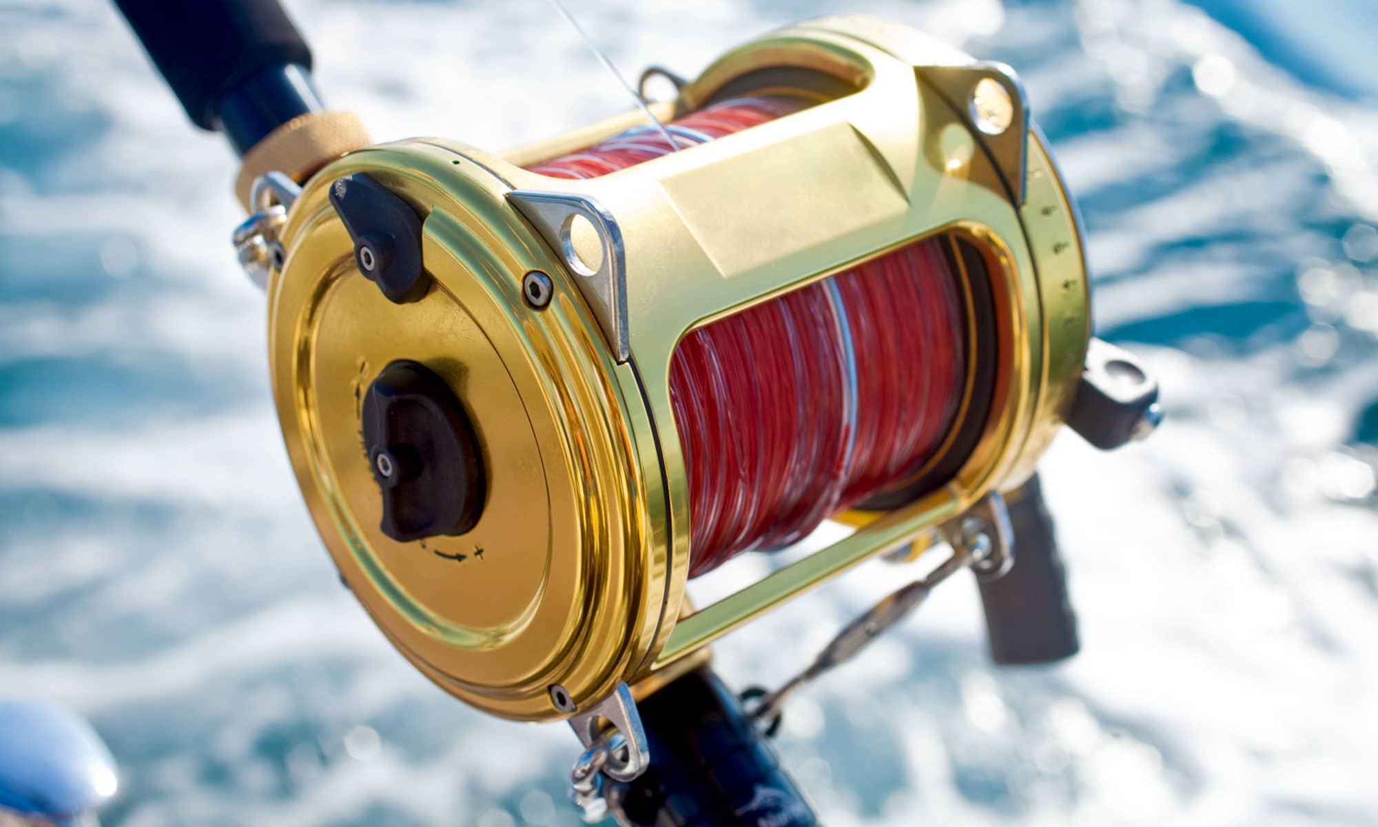 TOP 5: Best Ultralight Fishing Rod 2023 