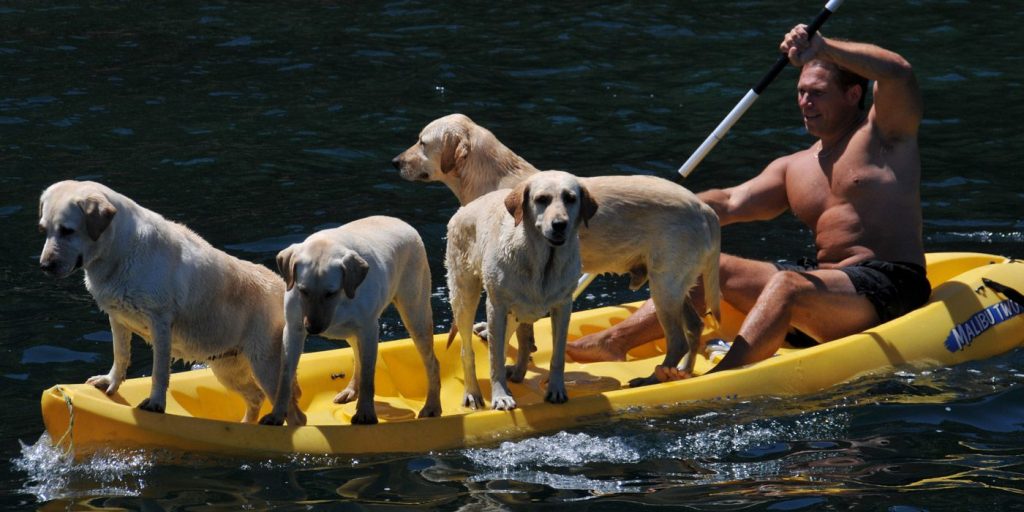 Top 8 Kayaks for Dogs to Take Your Best Friend on Water With You (Winter 2022)