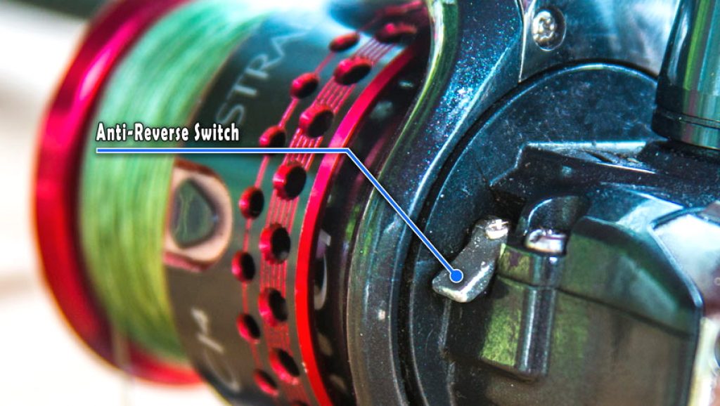 10 Best Surf Fishing Reels - Don't Let The Fish To Get Away!