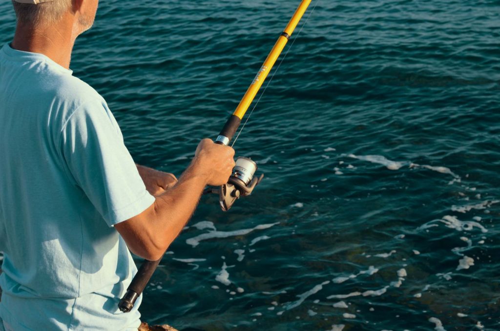 10 Best Saltwater Fishing Rods for an Awesome Fishing Experience (Winter 2022)