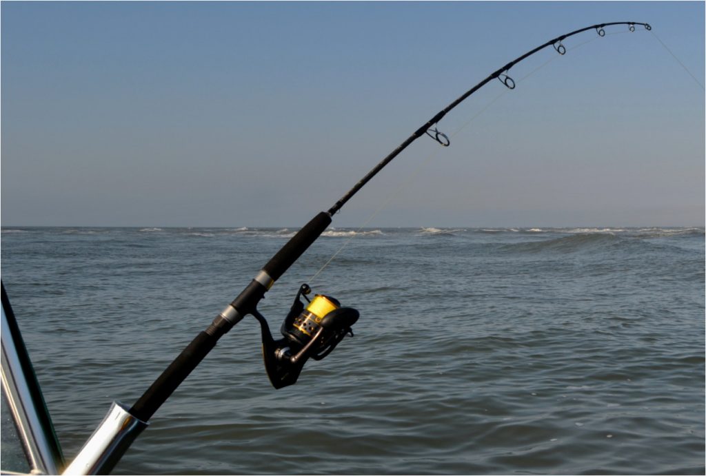 10 Best Saltwater Fishing Rods for an Awesome Fishing Experience (Winter 2022)