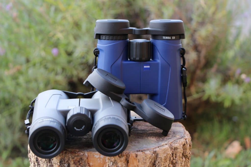 8 Best Compact Binoculars to Boost Your Outdoor Experience (Summer 2023)