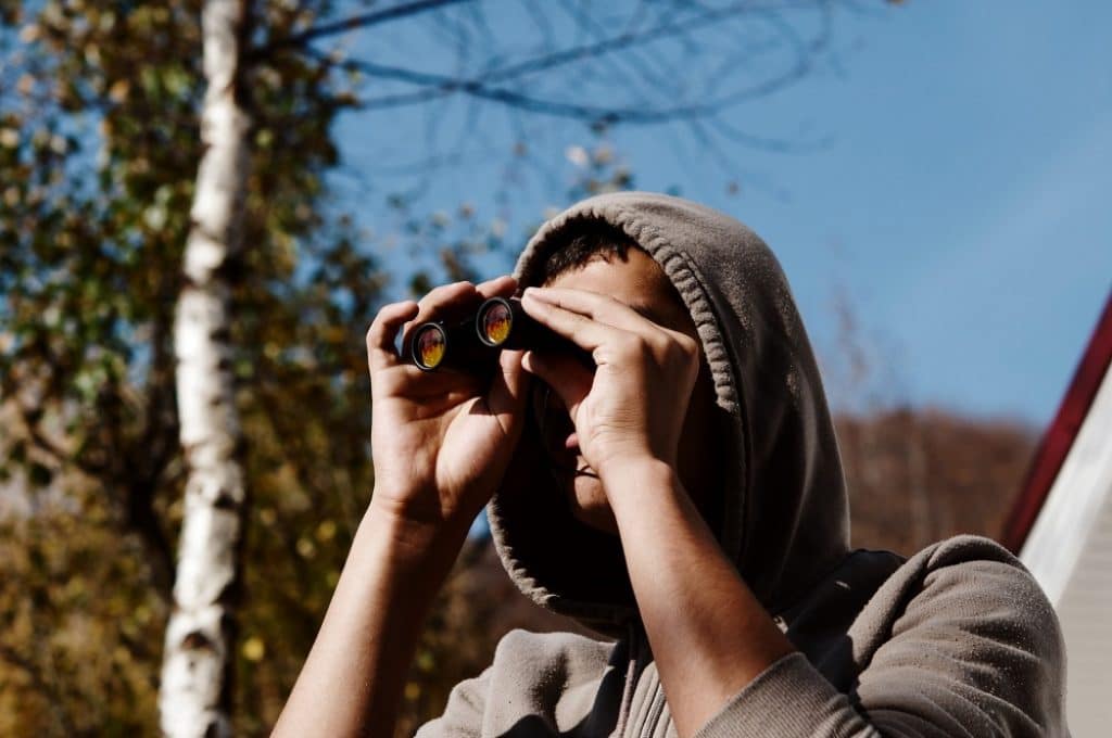 8 Best Compact Binoculars to Boost Your Outdoor Experience (Spring 2023)