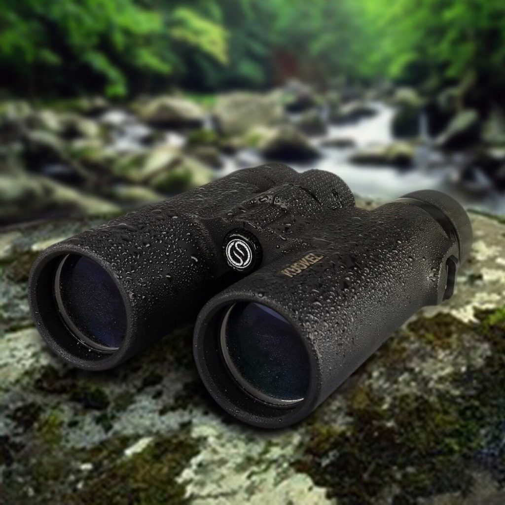 8 Best Compact Binoculars to Boost Your Outdoor Experience (Spring 2023)