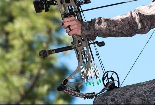 10 Best Bow Stabilizers - Top Rated And Reviewed (Winter 2024)