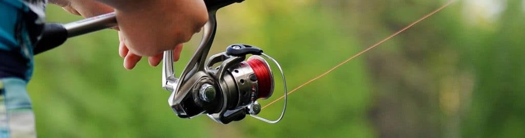 12 Best Fishing Reels To Make Fishing More Fun and Productive for You