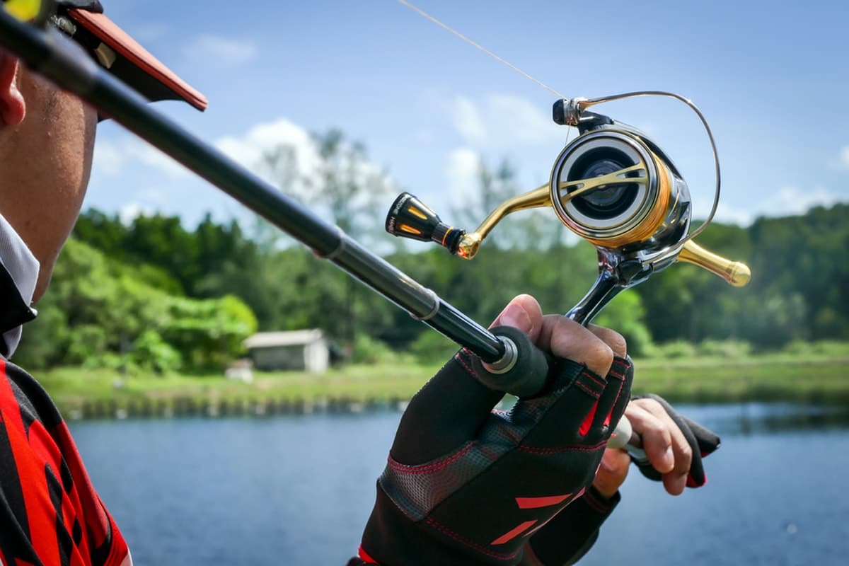 12 Best Fishing Reels Top Rated and Reviewed (Winter 2024)