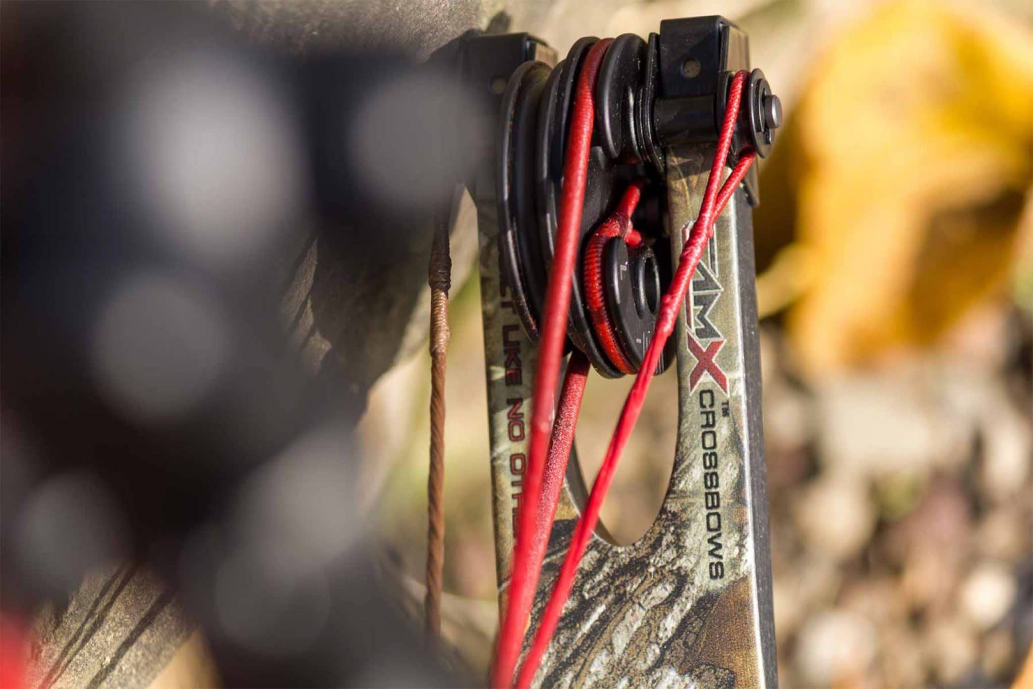 How to String a Compound Bow Expert Guide