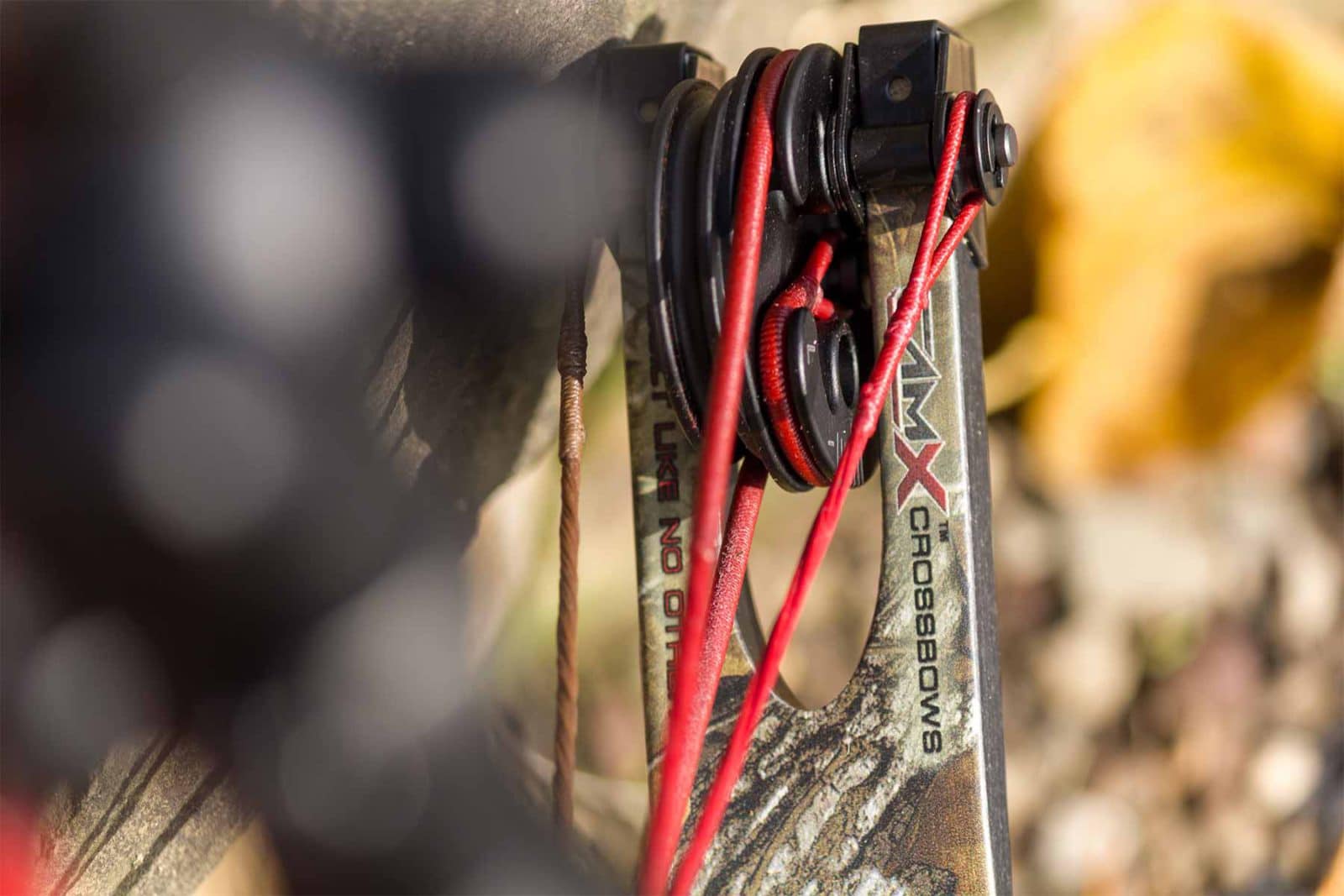 How to String a Compound Bow Expert Guide