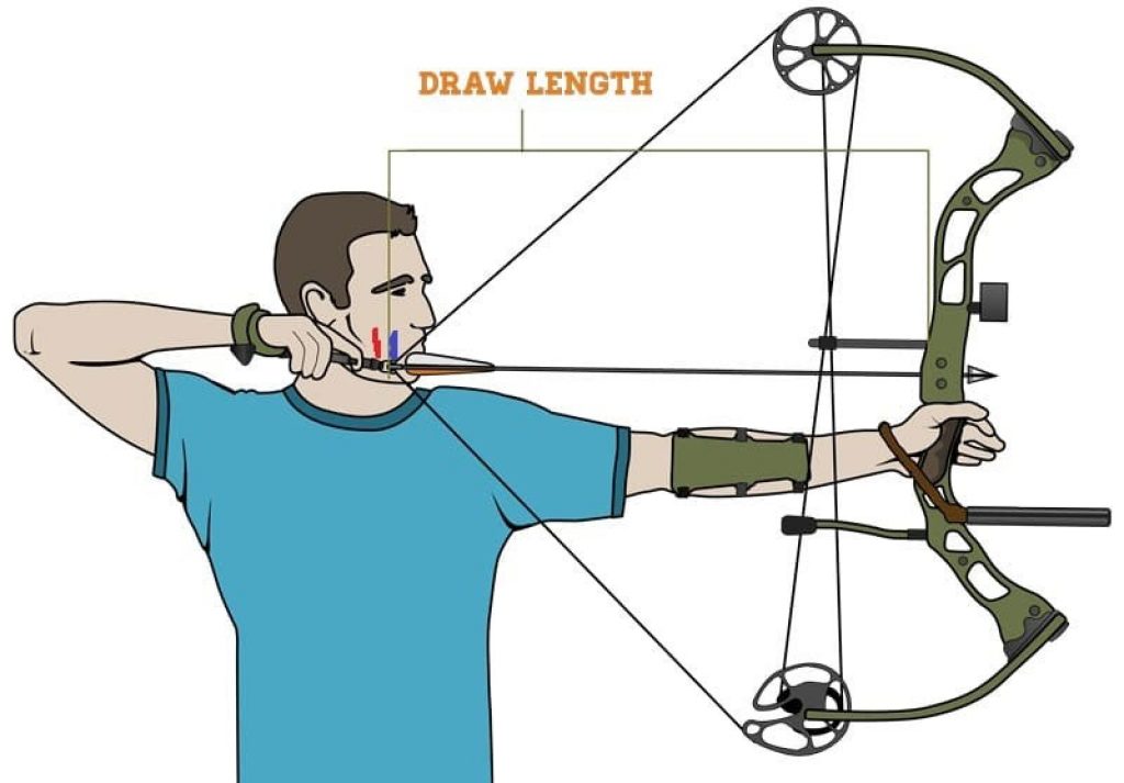 How to Shoot a Compound Bow Like a Pro