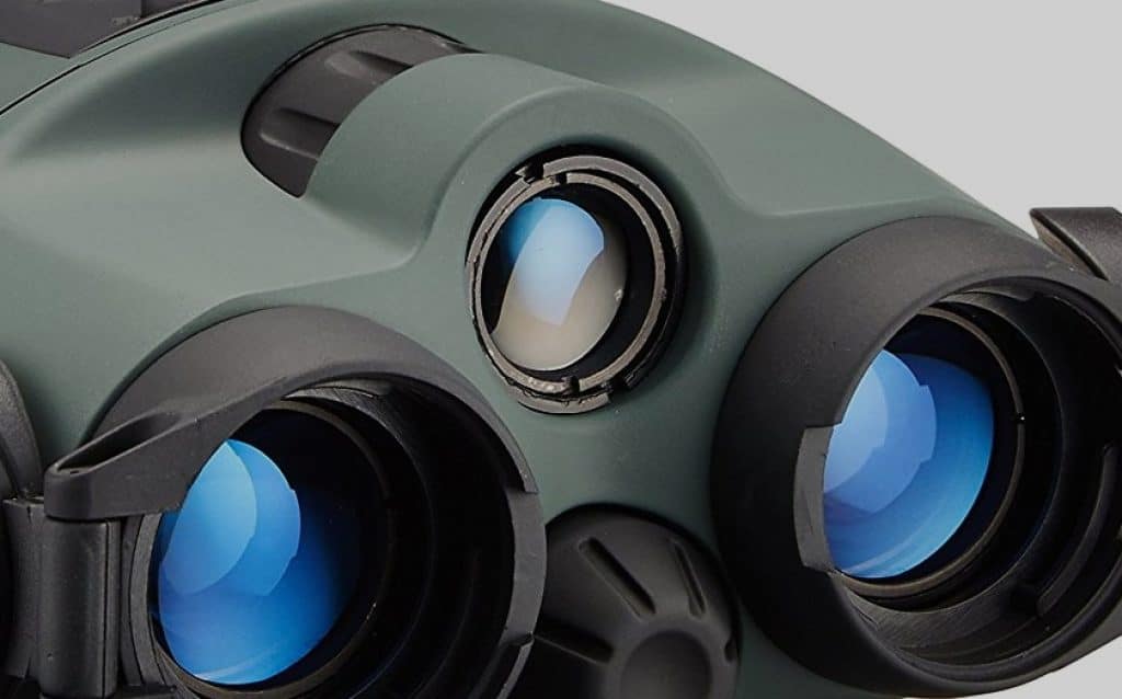 10 Best Night Vision Binoculars to Help You Out on Your Nocturnal Adventures