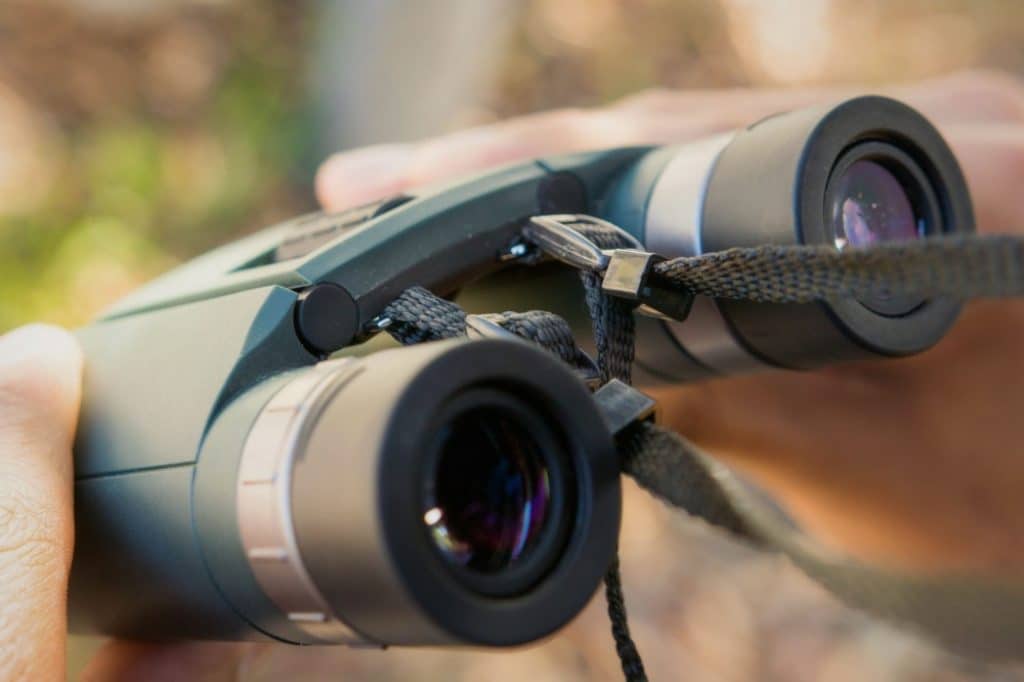 5 Best Binoculars Under $200 - Affordable Price And Good Quality! (Spring 2023)