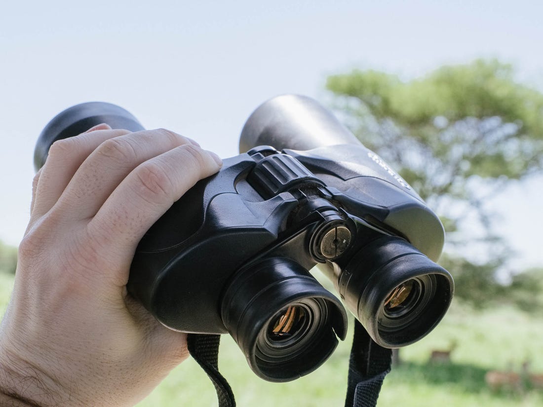 best binoculars for safari viewing