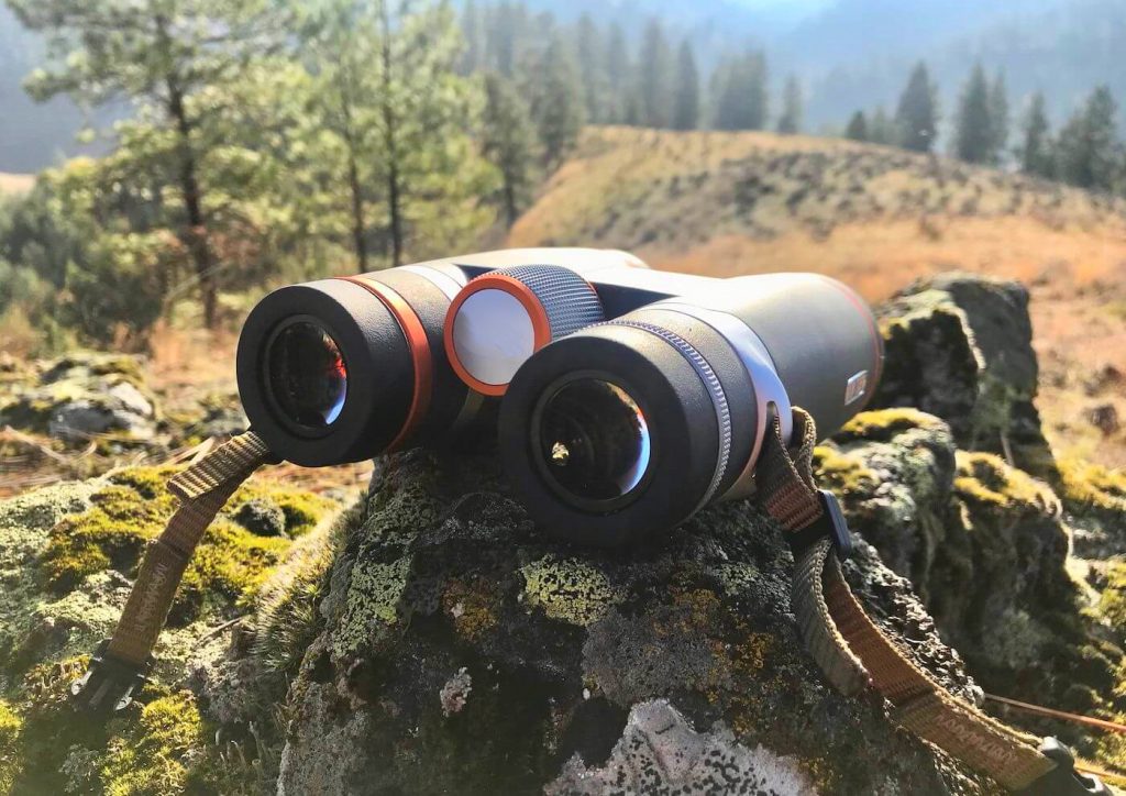 10 Best Binoculars for Hunting – Sharp Image in All Weather Conditions! (Spring 2023)