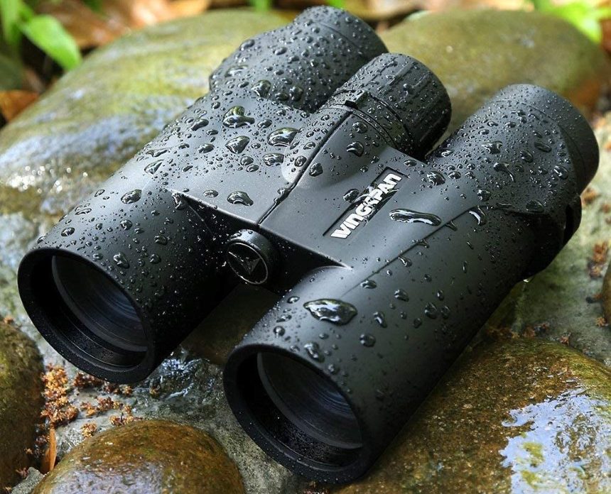5 Best Binoculars for Wildlife Viewing - Reviews and Buying Guide