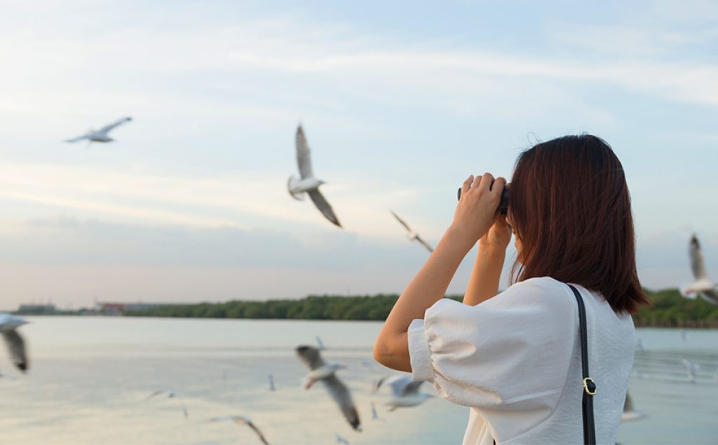 10 Best Binoculars for Bird Watching – Easier Way to Spot a Bird! (Spring 2023)
