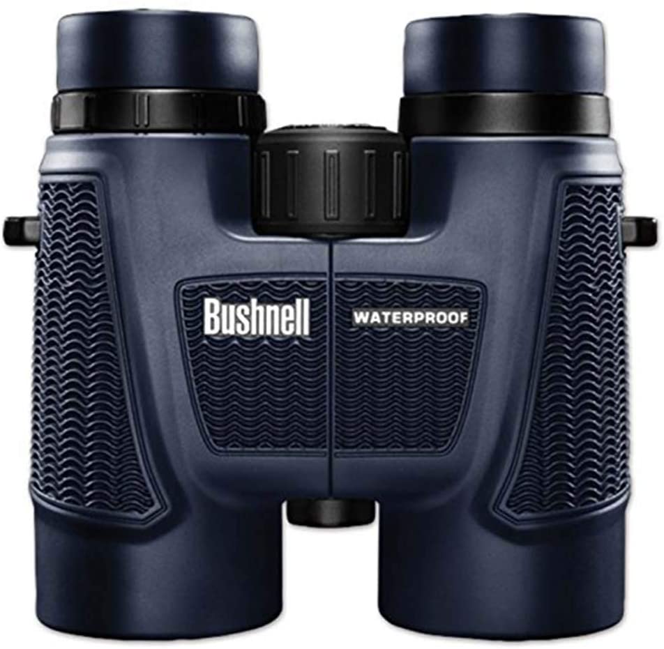 Bushnell H2O (10 x 42-mm)