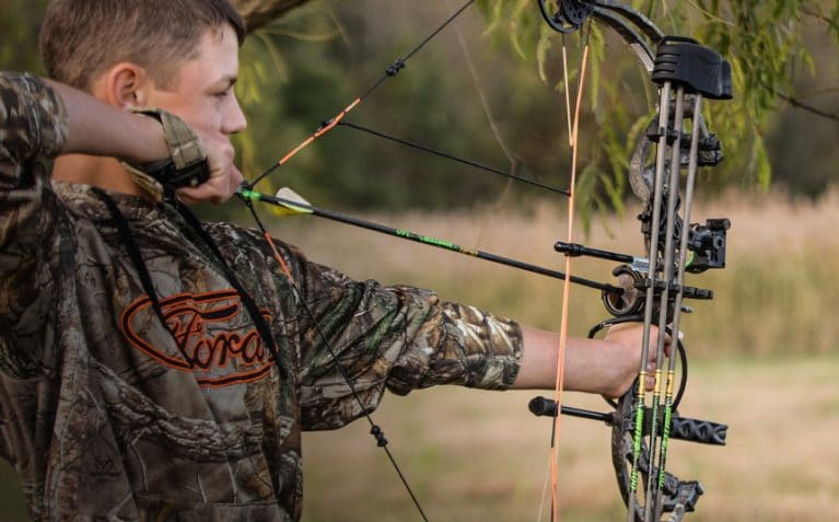6 Best Bows Under $500 - Top Rated and Reviewed (Fall 2023)