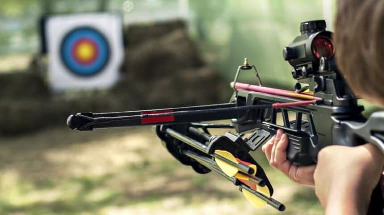 Crossbow Tutorial How to Shoot a Crossbow Accurately: An in-Detail Guide for Beginners