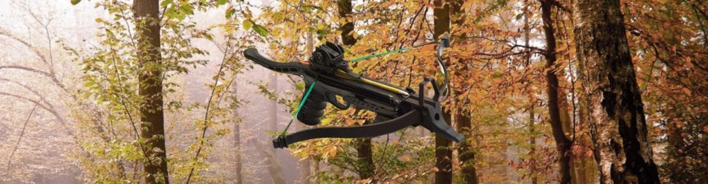 5 Best Crossbows under $200 – Budget-Friendly and Powerful Options!