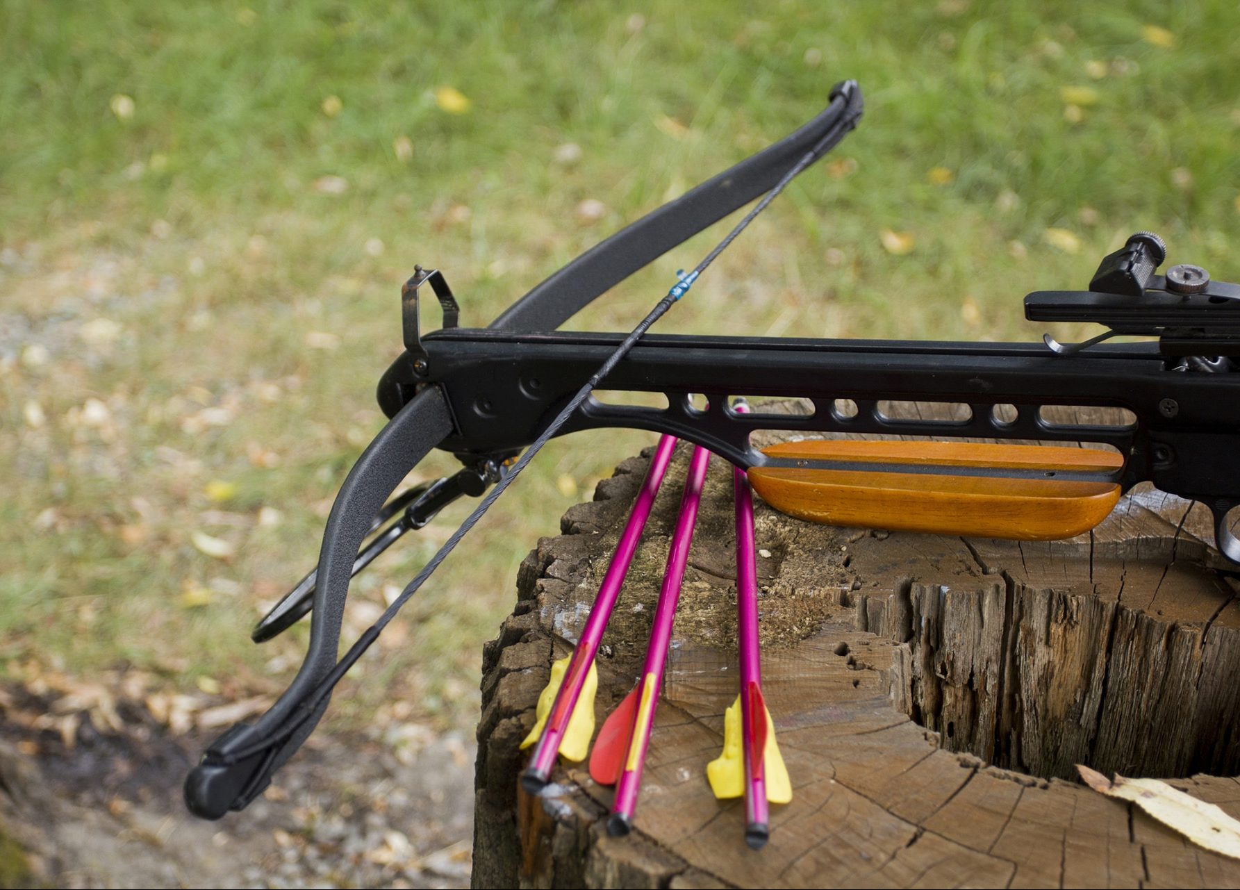 10 Best Tactical Crossbows Top Rated and Reviewed (Fall 2023)