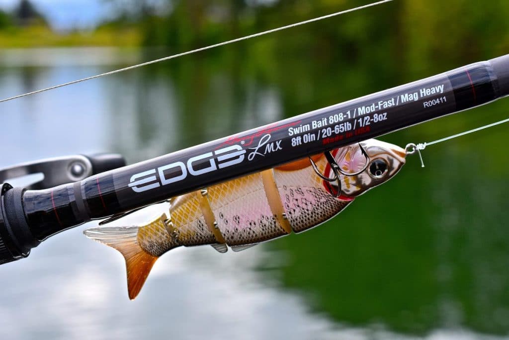 6 Best Swimbait Rods - Serious Approach to Fishing!